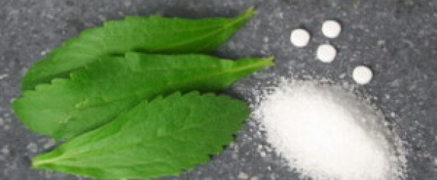 Stevia – ziołowy słodzik dla każdego