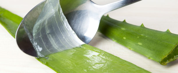 Czy aloes przyspiesza odchudzanie?