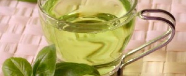 Zielona herbata – smacznie i zdrowo!