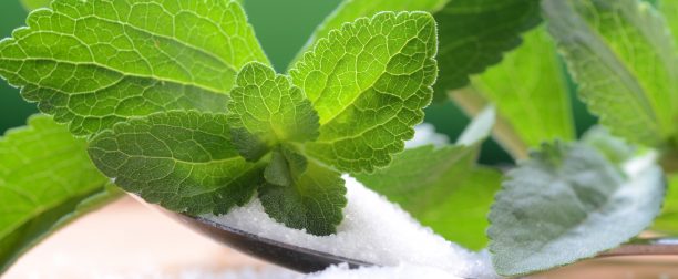 Stevia – ziołowy słodzik dla każdego