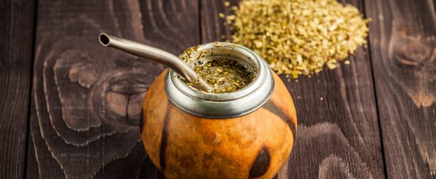 Dlaczego warto pić Yerba Mate?