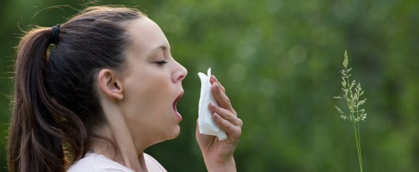 Fitoterapia chorób alergicznych