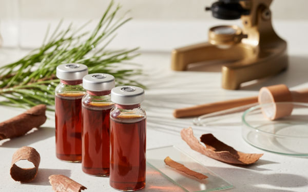 β-Sitosterol z ekstraktu sosny hamuje skurcze i wzrost prostaty – nowe dowody w leczeniu LUTS/BPH