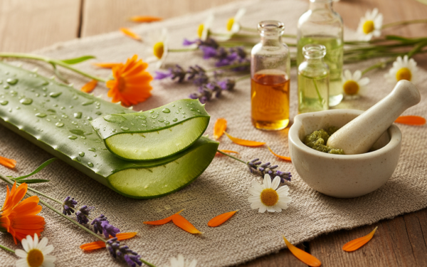 Odkryj Naturalne Rośliny, Które Pomogą Ci Zmniejszyć Blizny: Praktyczny Przewodnik