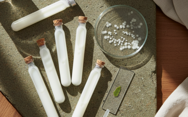 Strategia rozwoju probiotyków z naciskiem na stabilność i aspekty regulacyjne