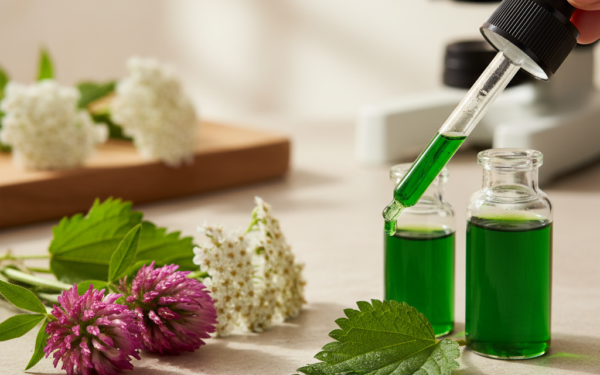 Bibliometryczna analiza publikacji naukowych o wpływie roślin pastwiskowych i dziko rosnących na zdrowie kobiet