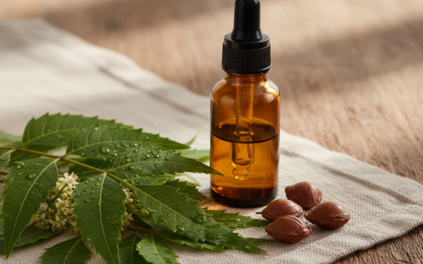 Gwajowiec lekarski - właściwości i zastosowanie