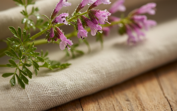 Ziele dymnicy - Właściwości i Zastosowanie